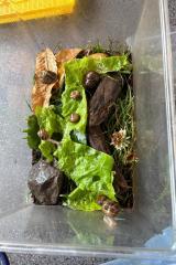 31b23d7f-5b2d-4a21-8eca-50e3cc771458