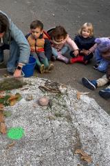 687314b9-2735-4075-b28e-93be0d2e7293