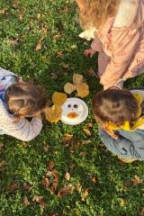 d53d9827-d23b-45c8-9906-fc178b8665cf