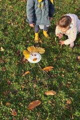 db924428-ea03-45ac-9380-a15d0521c667