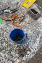 ee5e7dea-dd31-4749-9be4-420c228e2a57