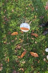 f265a6f8-3efe-4a98-b098-e70f1f25481d