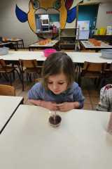 IMG-20251125-WA0002