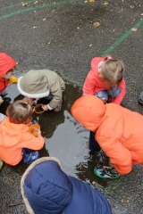 IMG-20231012-WA0007