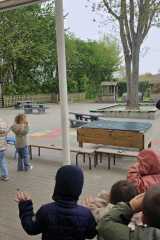 IMG-20250417-WA0035