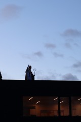 IMG_8242