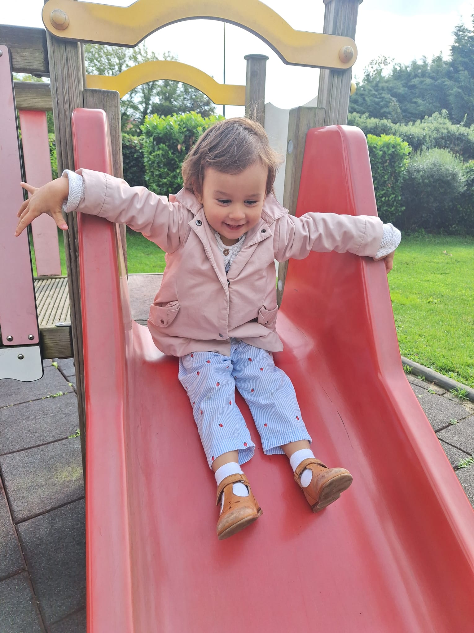 IMG-20241012-WA0002