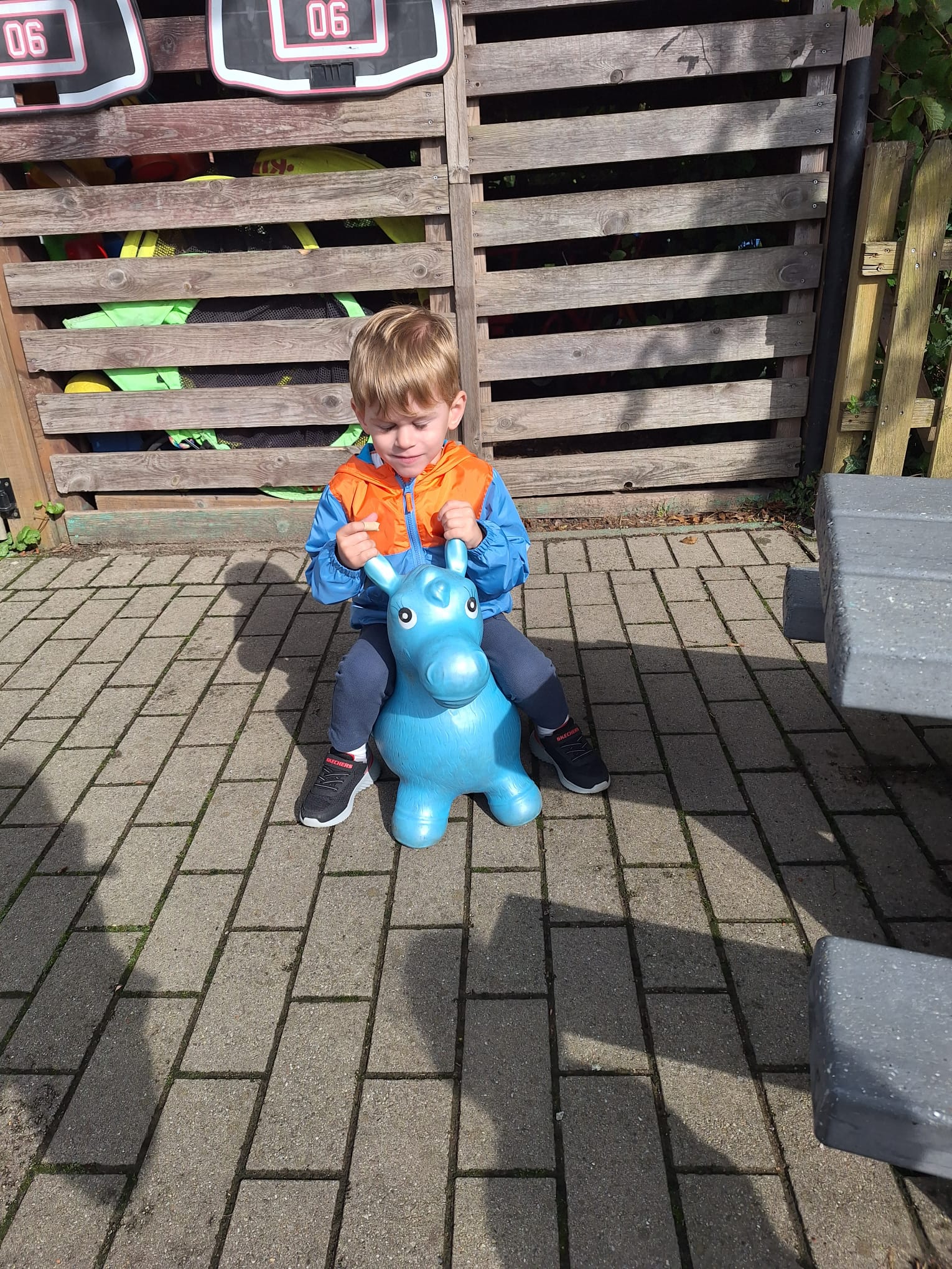 IMG-20241012-WA0008