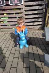IMG-20241012-WA0008